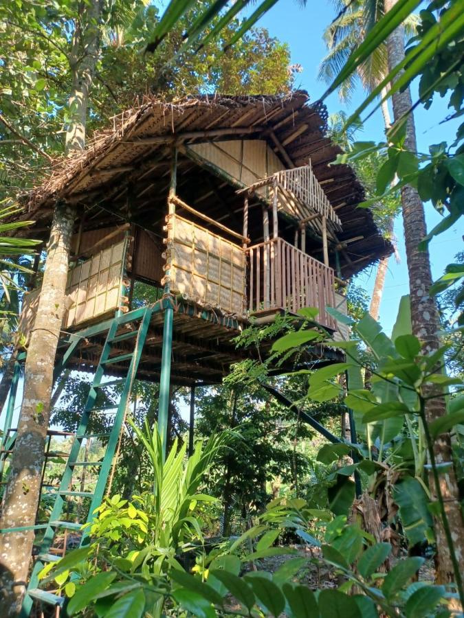 Kayyalas Courtyard Thrissur Dış mekan fotoğraf